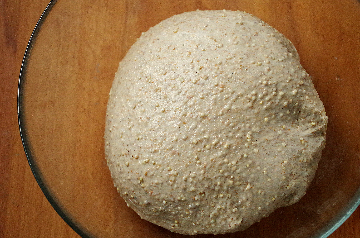 тесто в начале брожения