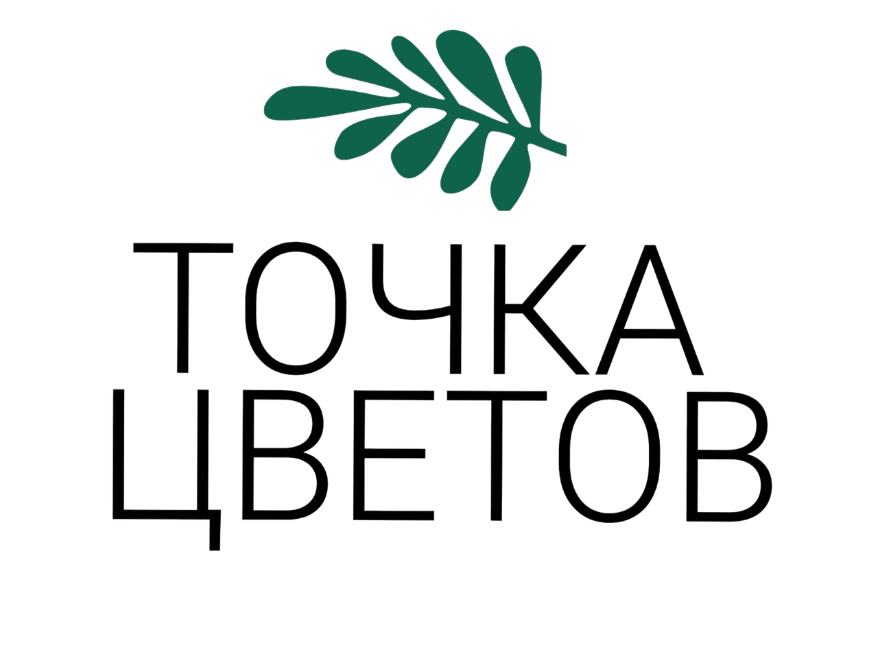 Точка Цветов