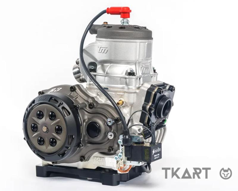 Мотор TM Kart KZ-R3 Total Black — общий вид двигателя