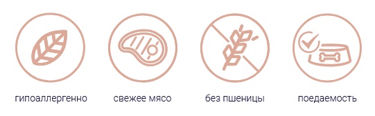 Безымянный.png