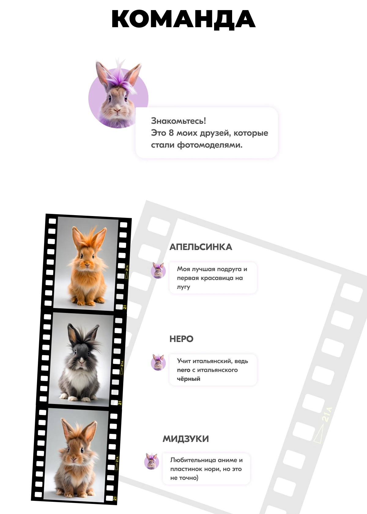 Карты Москвёнок BUNNY - Функционал прохода в современном и красивом исполнении, которым приятно пользоваться каждый день