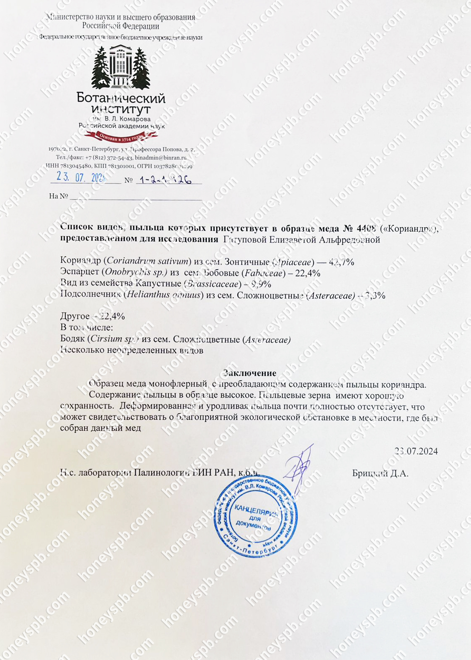 Пыльцевой кориандр 2024.jpg