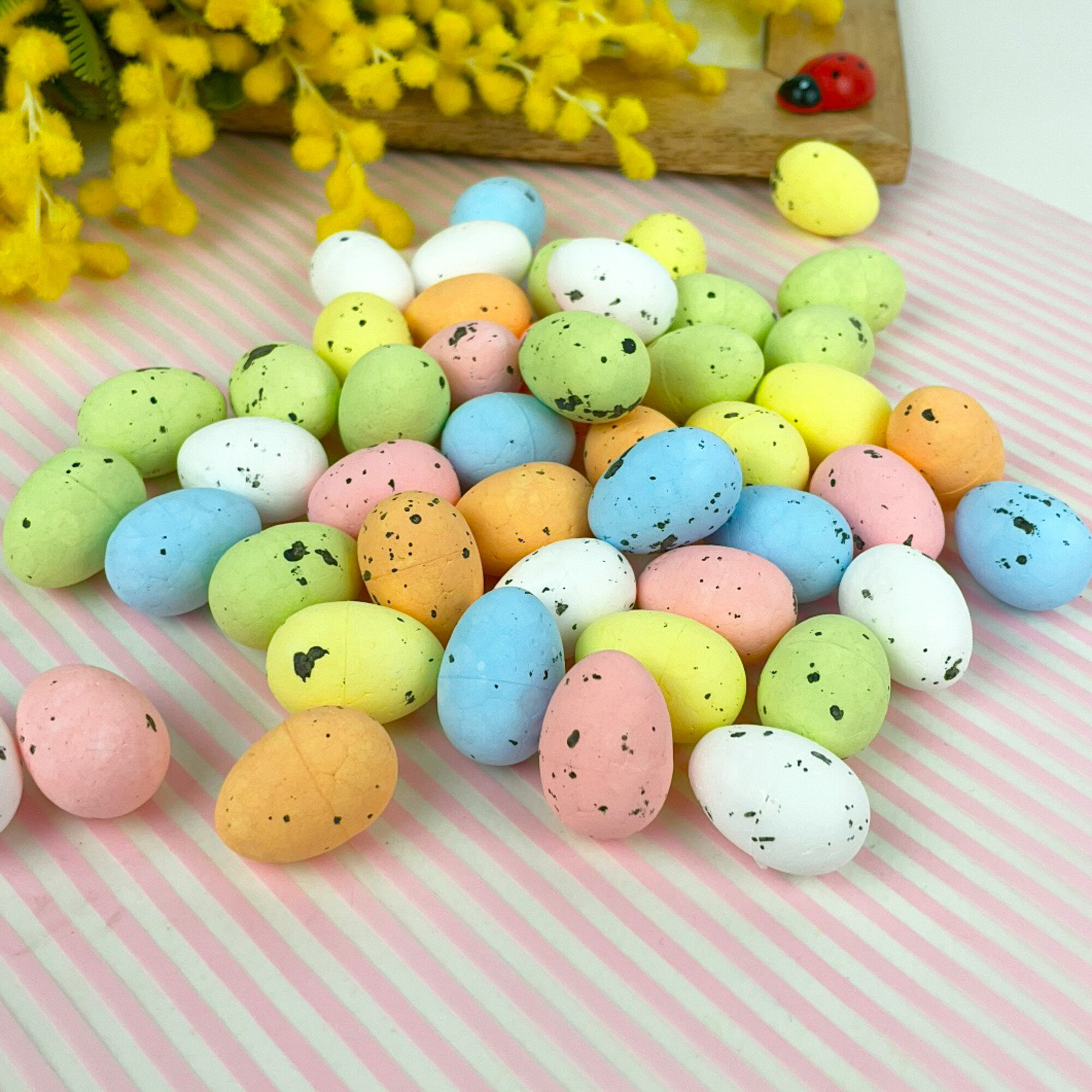 IMG_9480 IMG_9480.jpg