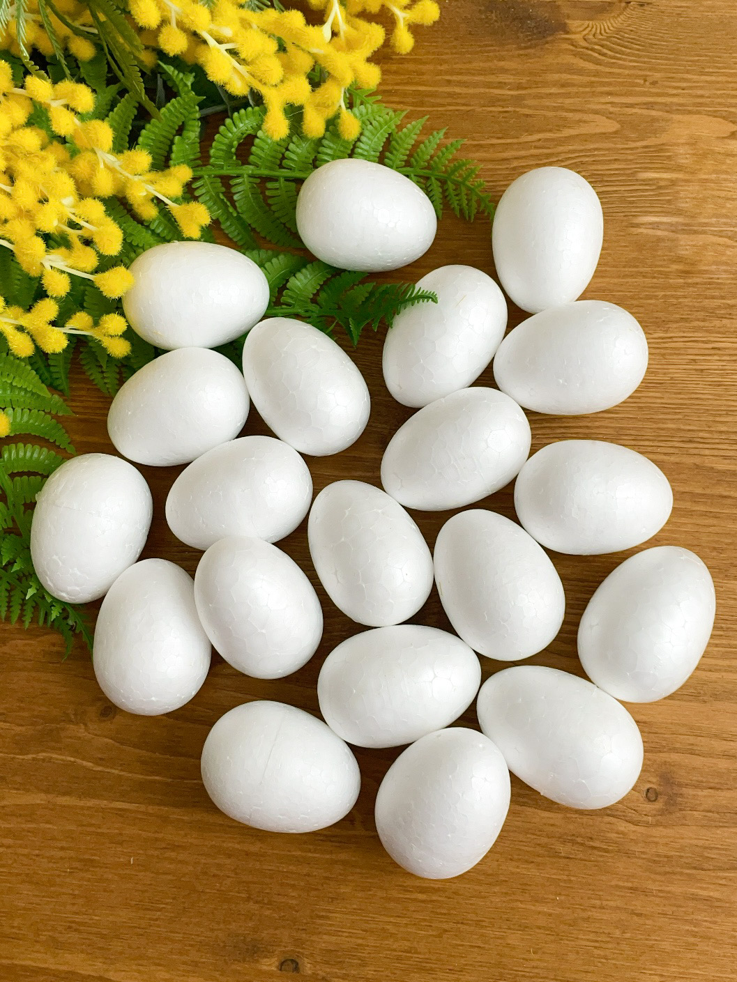 IMG_2780 IMG_2780.JPEG