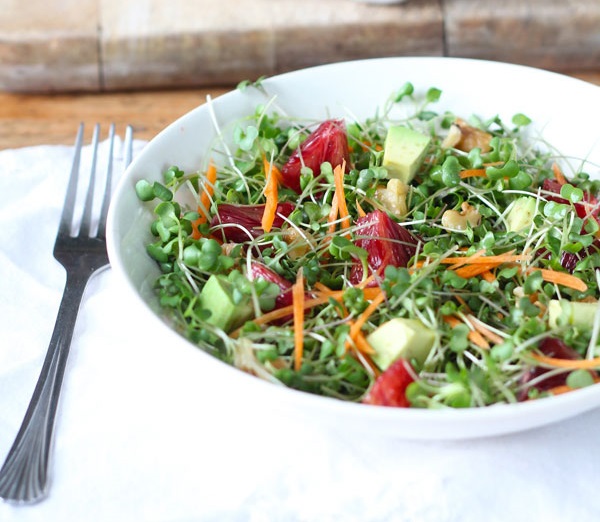 Салат из микрозелени редиса