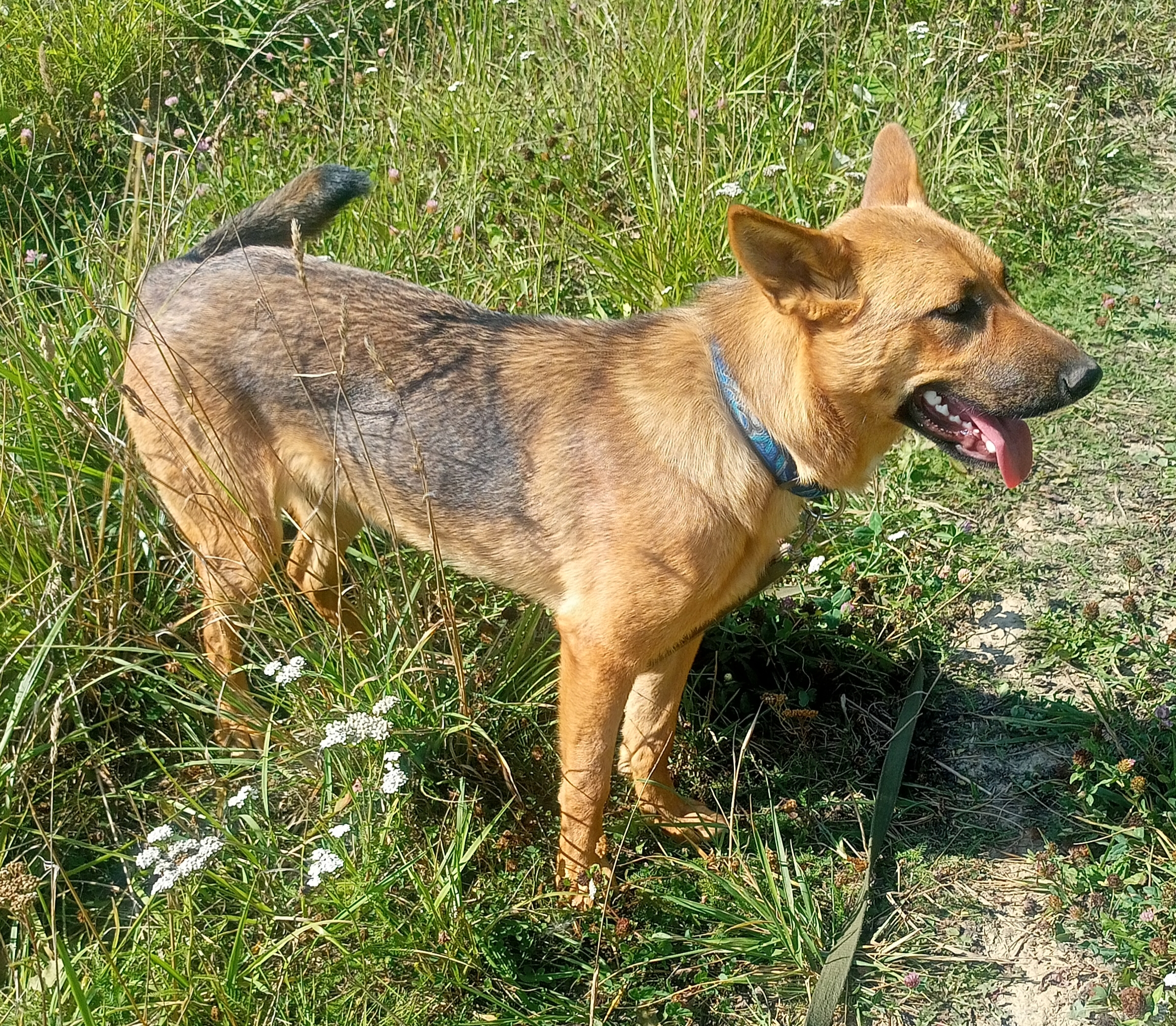 3 года