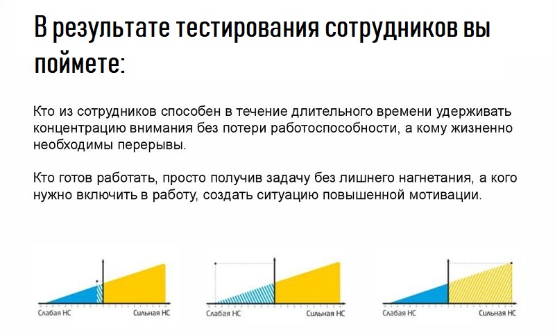 тестирование сотрудников компании