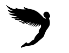 Fly