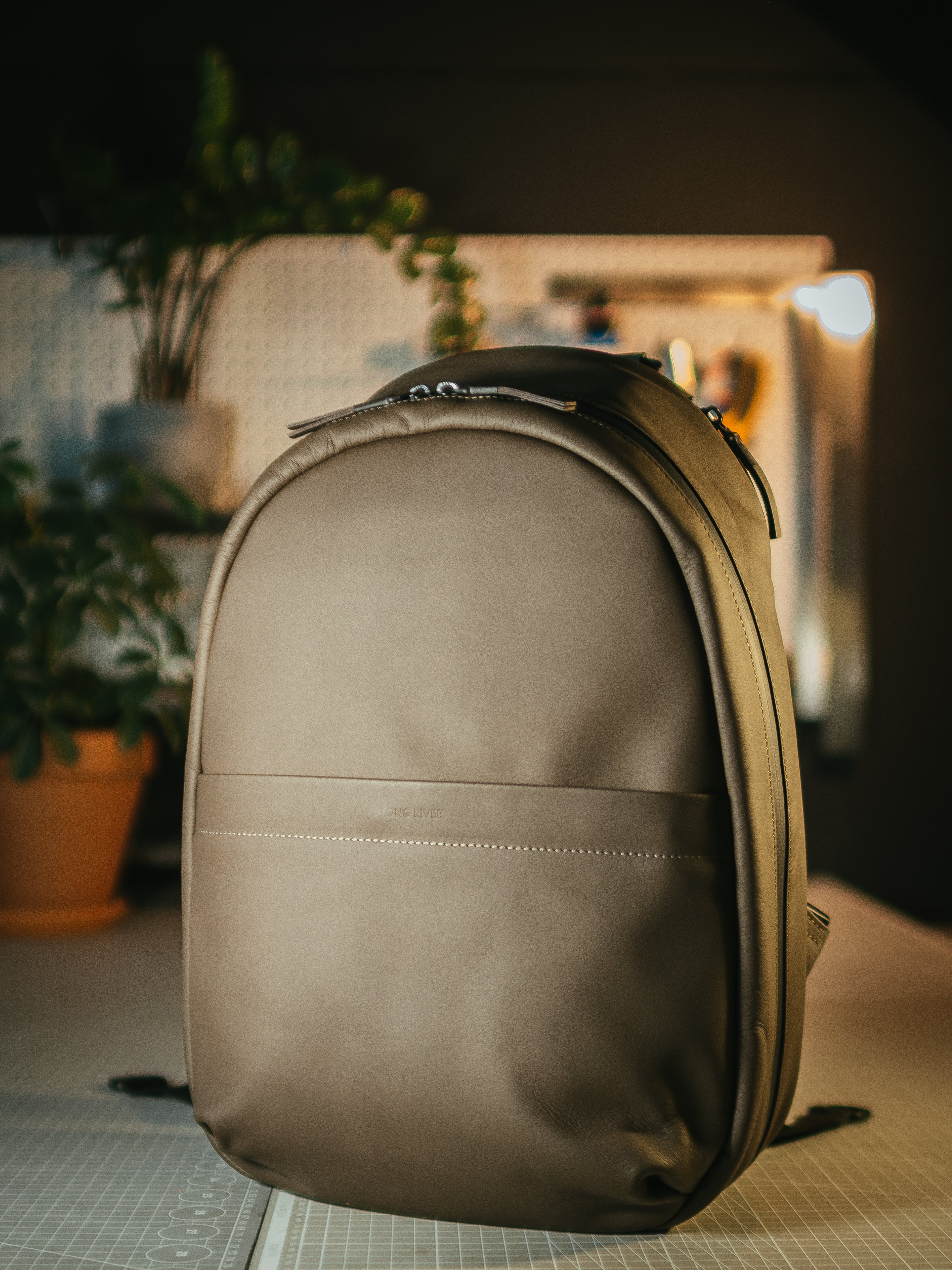 P8080199 P8080199.jpg