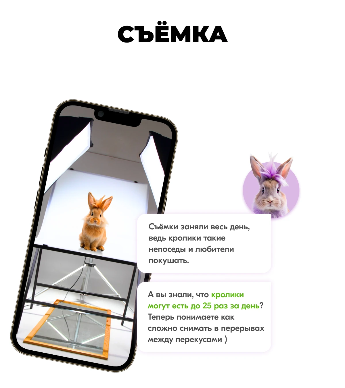 Карты Москвёнок BUNNY - Телефон горячей линии МОСКВЁНОК где можно получить поддержку по работе карты всегда под рукой