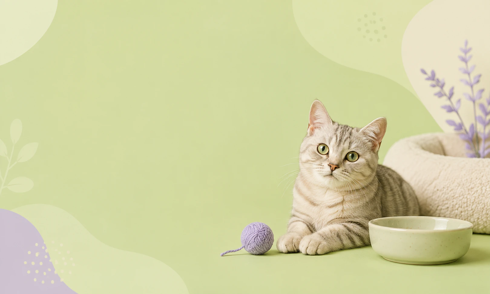 Кошки