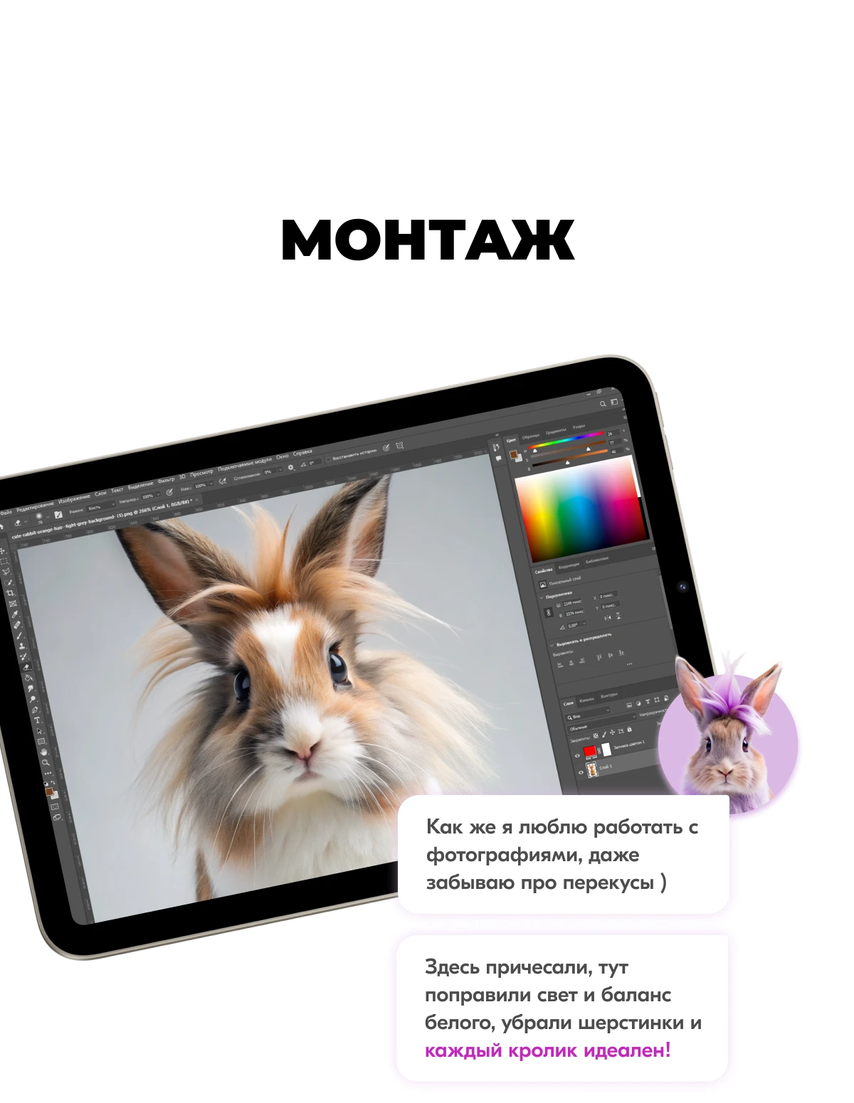 Карты Москвёнок BUNNY - Карту с красивым дизайном ребёнок не забудет взять в школу