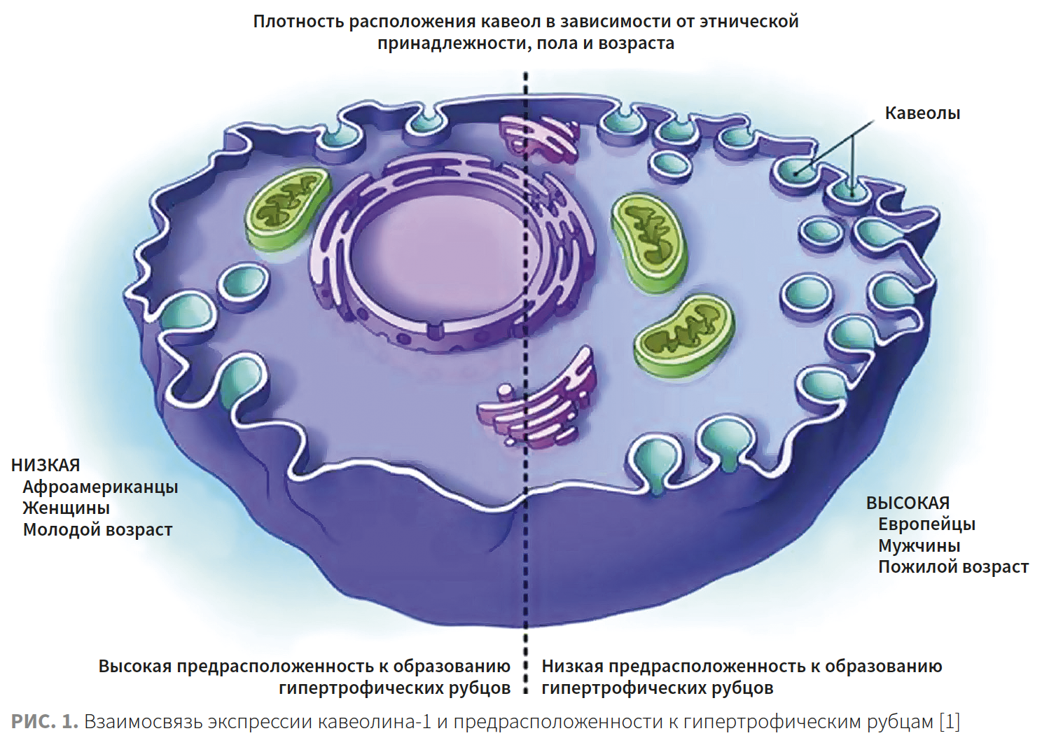 Гайдаш КМ 2-2023 (ННК) Рис 1.png