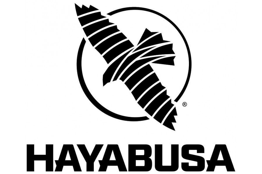 Hayabusa