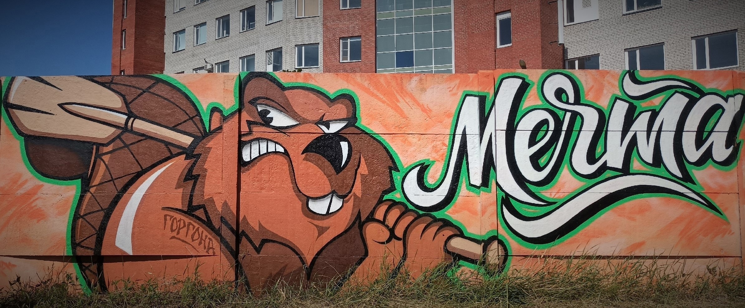 Байдарочная станция "Мечта"
