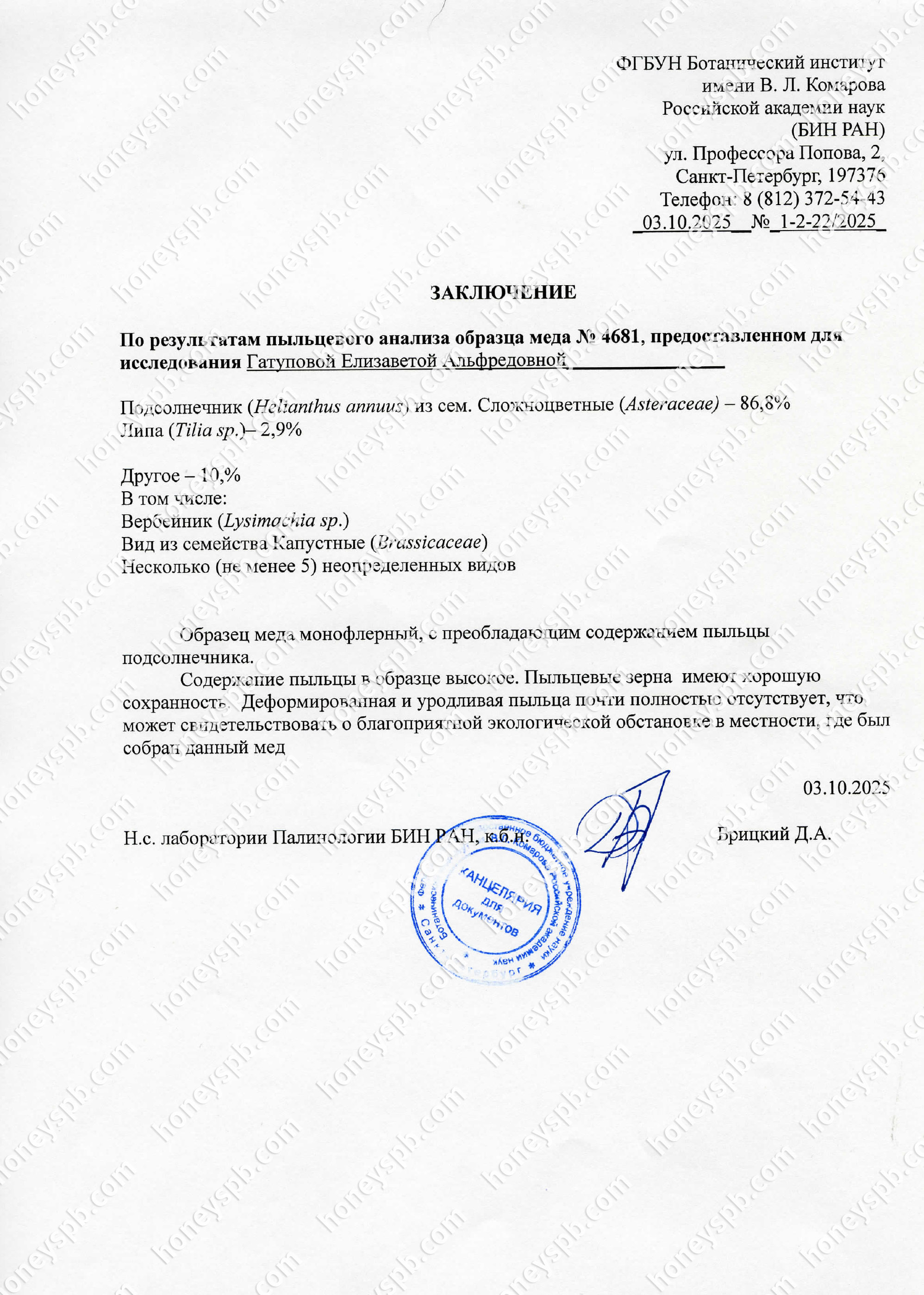 Подсолнух. Пыльцевой анализ 2025.jpg