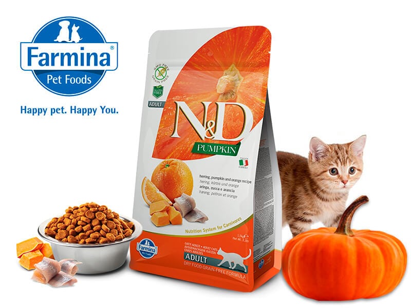 Корм для кошек в котором находятся все необходимые витамины и питательные вещества
