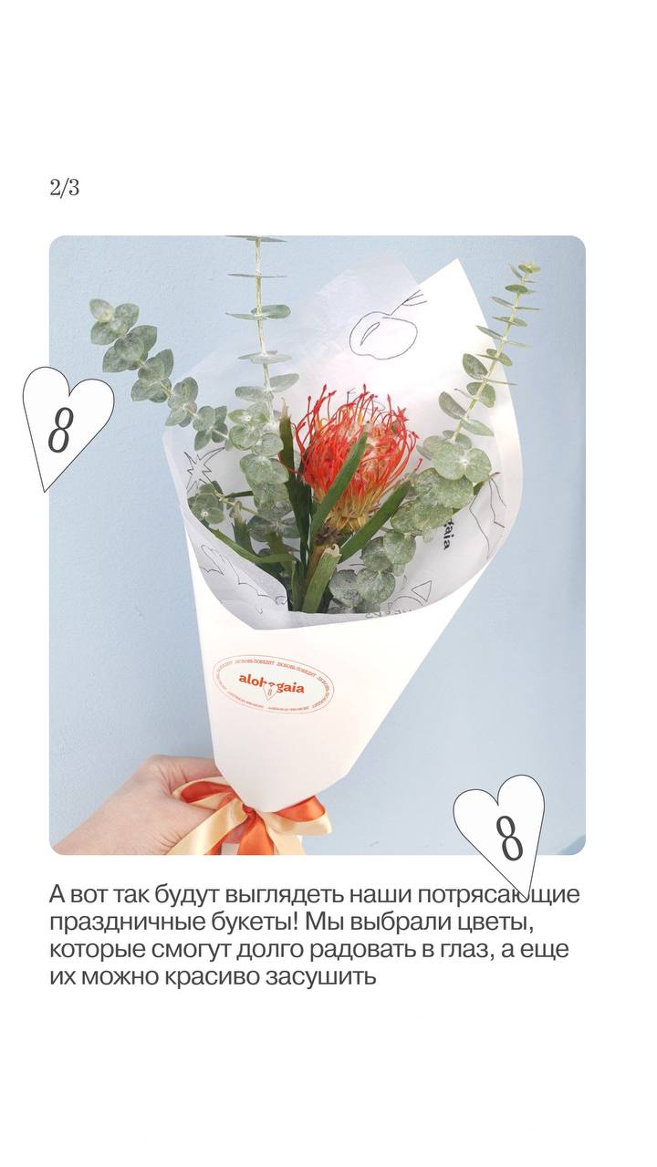 photo_2024-03-01 11.57.43 photo_2024-03-01 11.57.43.jpeg