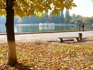 Парк 50 лет Октября