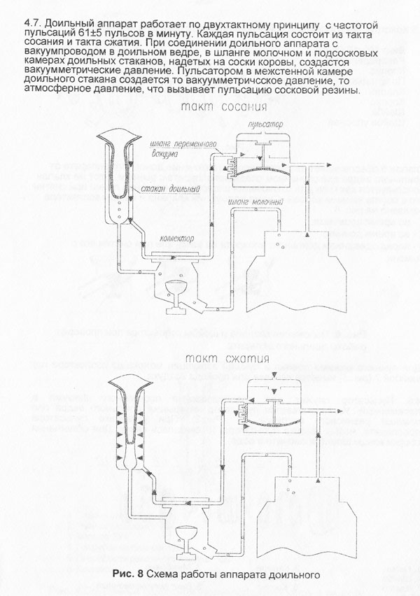 Устройство и работа доильных аппаратов
