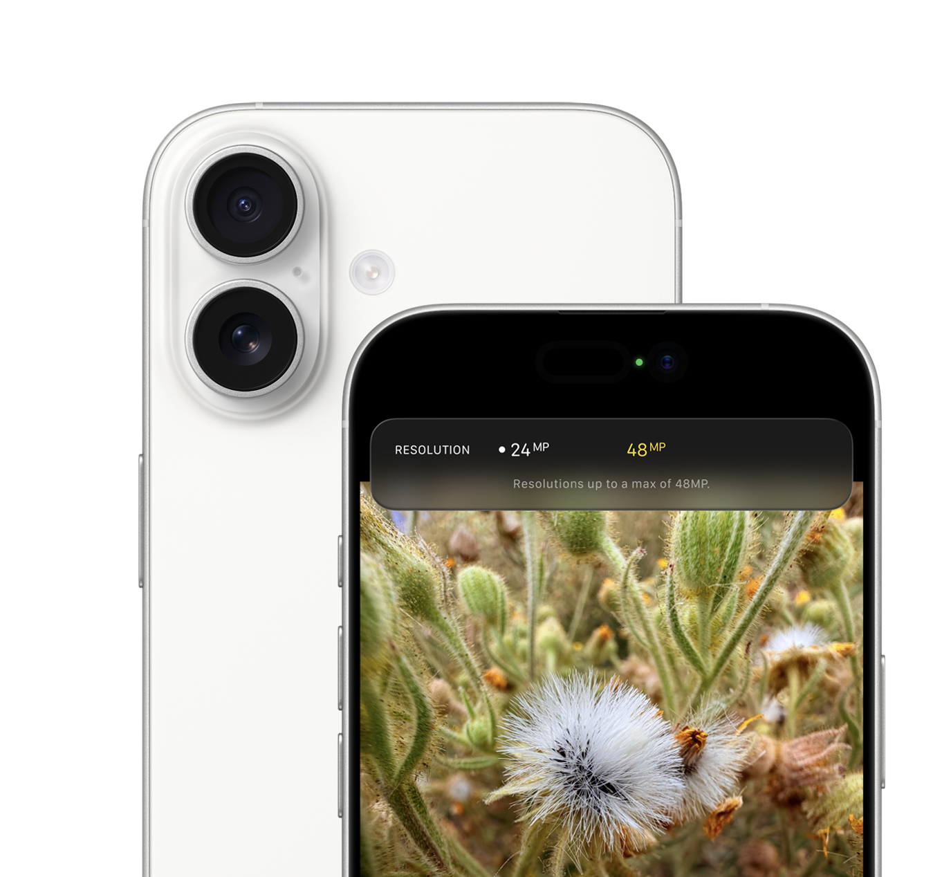 Снимок экрана 2025-12-17 в 20.36.21.png