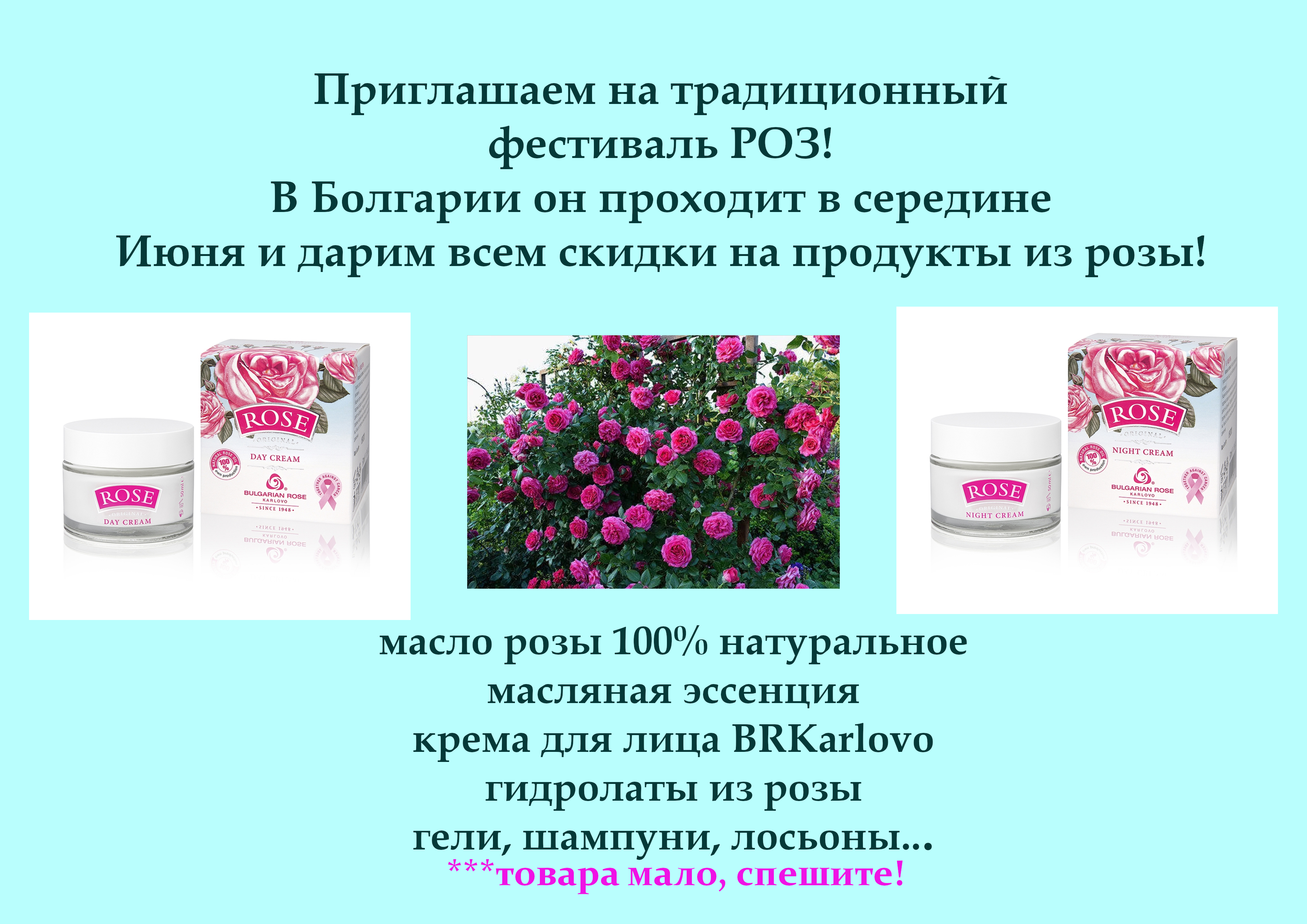 Праздник розы2 Праздник розы2.png