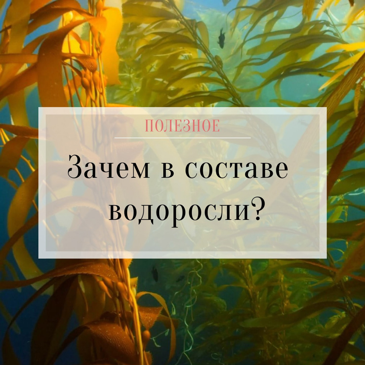 Водоросли в составе косметики