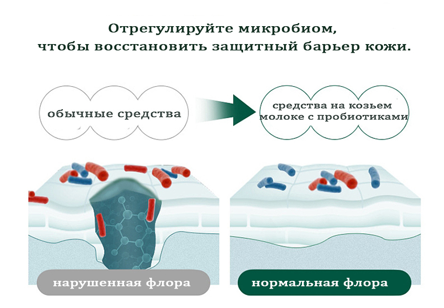09876епрол4кеп.jpg