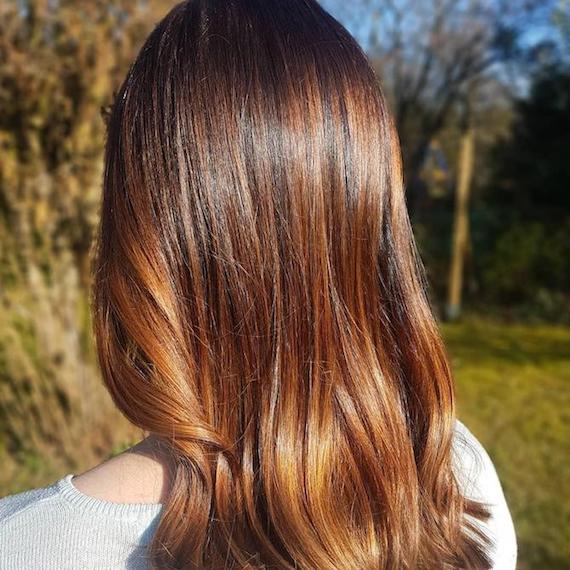 wellaproblogbrownhaircolorsimage12.jpg