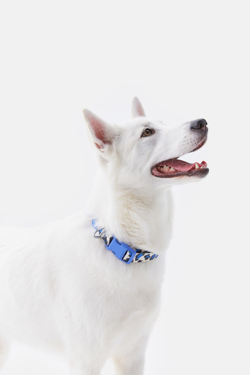 photo_2026-02-23_12-41-02 (2).jpg