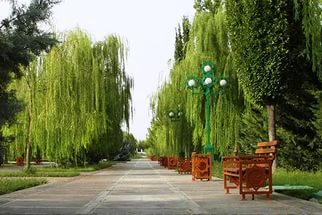 Парк Дружба Парк Дружба