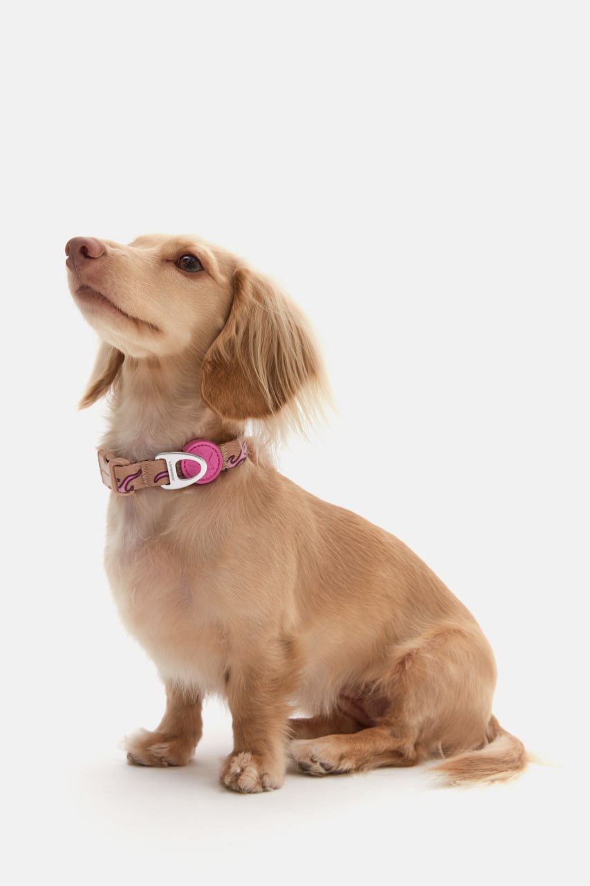 photo_2026-02-23_12-41-23 (2).jpg