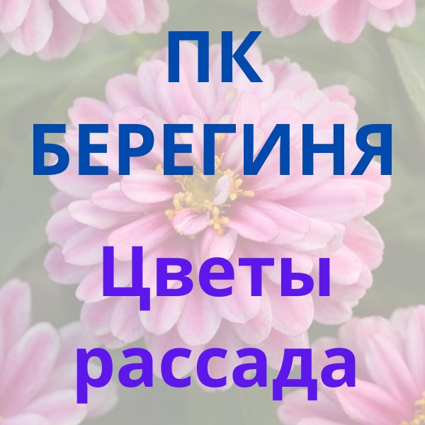 Рассады цветов. Однолетники. Черенки  вегетативных цветов.
