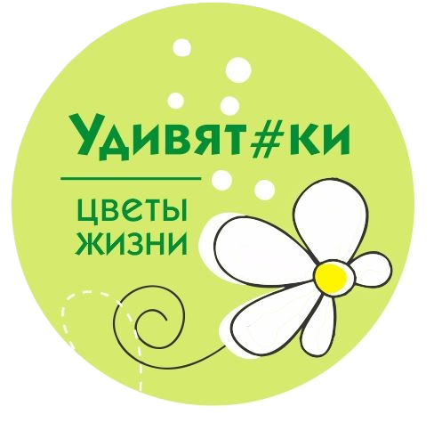 Удивят#ки
