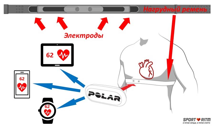 Принцип работы Polar H10