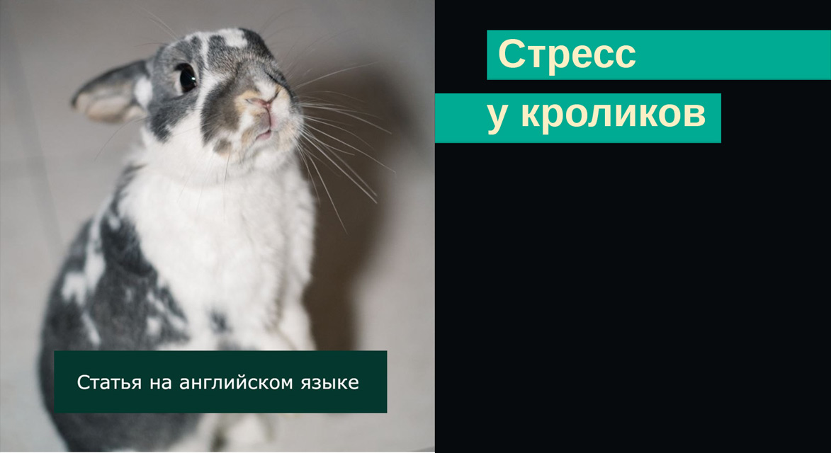 06.05.2026-сайт.jpg
