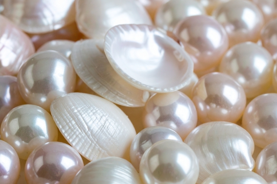 Жемчуг.jpg Жемчуг.jpg