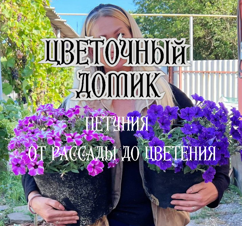 «Цветочный Домик» семейный питомник от рассады до цветения
