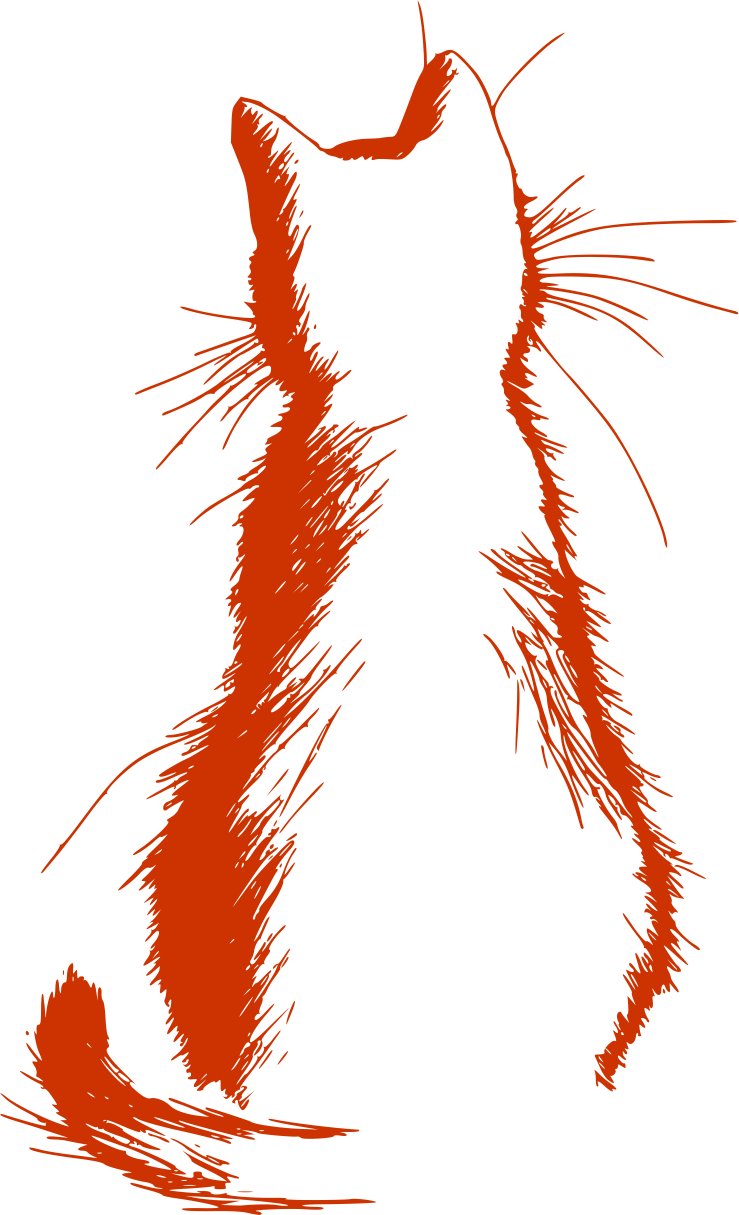 Кот_сзади_рыжий.png