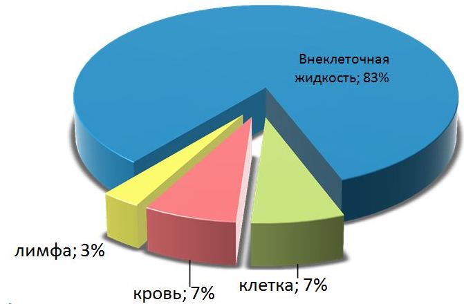 Детокс для очищения организма от шлаков и токсинов