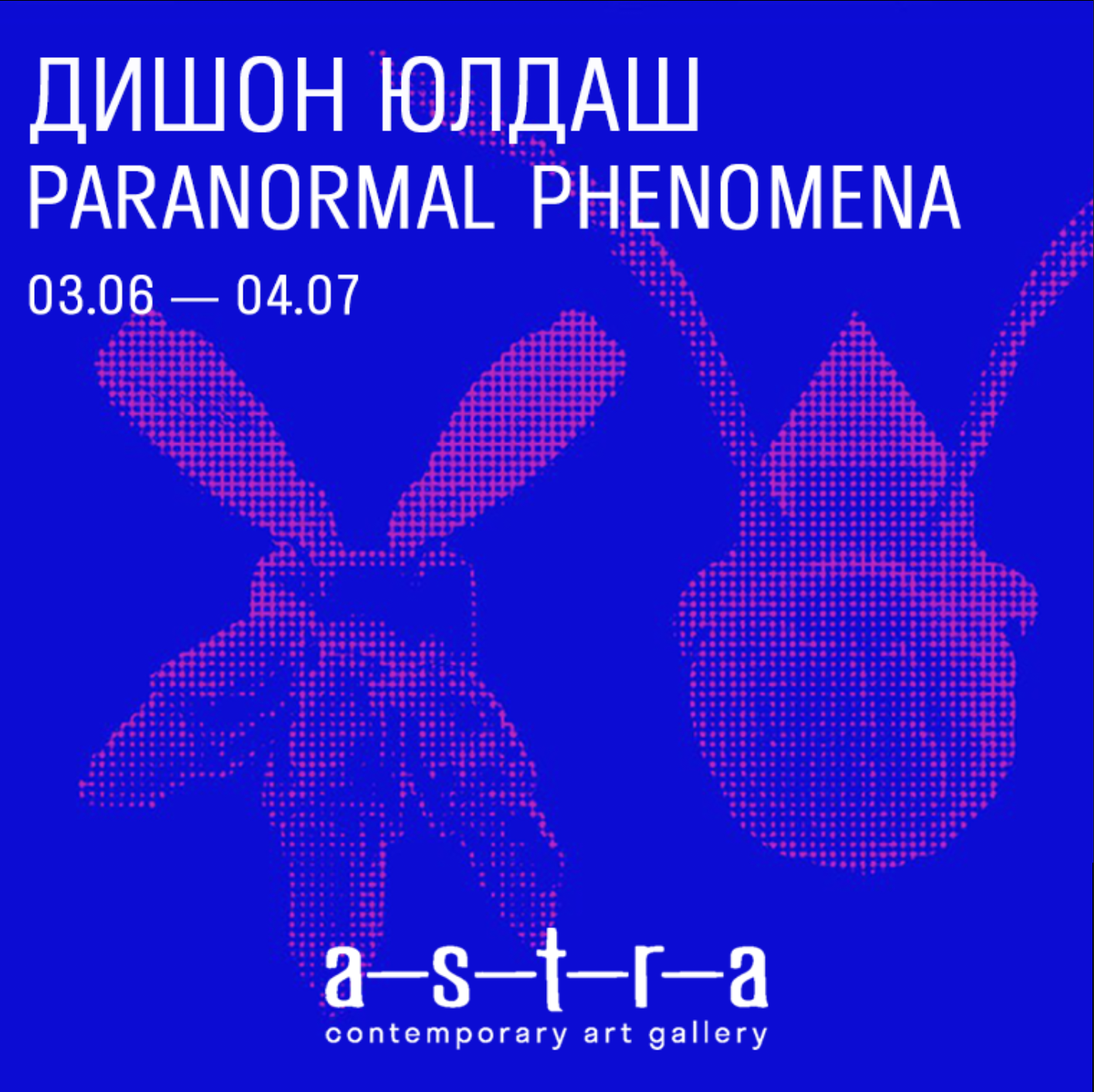 solo show Дишон Юлдаш