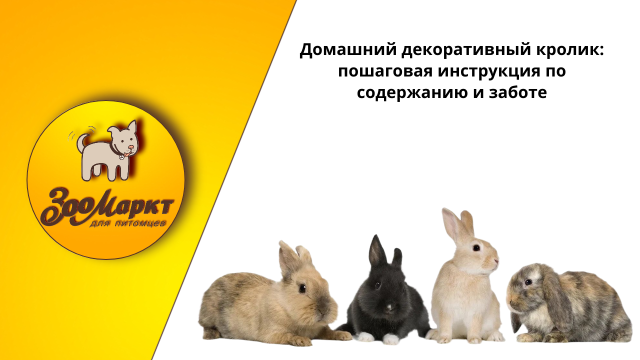 График работы График работы.png