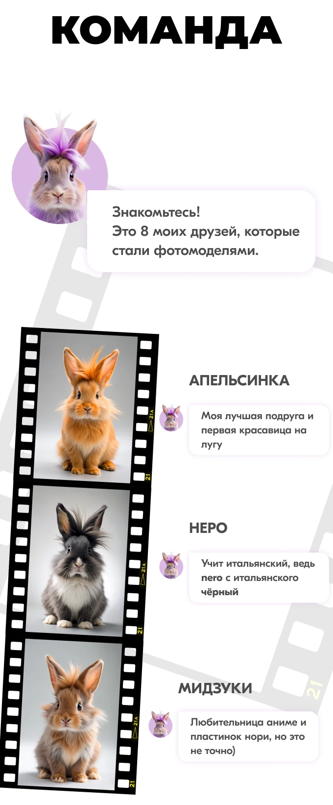 Карты Москвёнок BUNNY - Функционал прохода в современном и красивом исполнении, которым приятно пользоваться каждый день