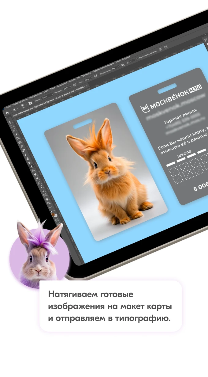 Карты Москвёнок BUNNY - Впишите номер школы в регистры для нумерации, чтобы при утери карту смогли вернуть в школу