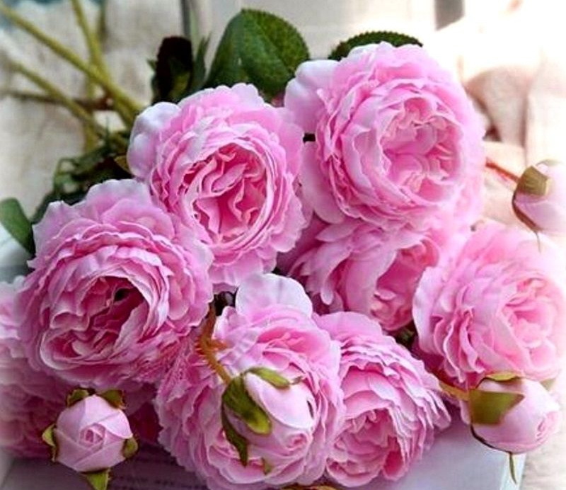 Оплата заказа. Оплата заказа.