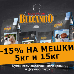 -15% на мешки BELCANDO 5кг и 15кг / ЗАВЕРШЕНА