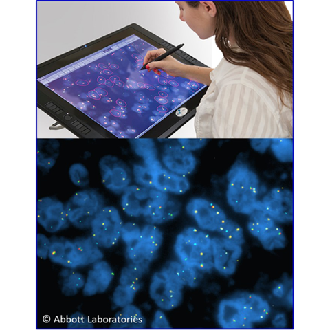 Пресс-релиз: Школа-семинар с международным участием «Флуоресцентная гибридизация in situ (FISH) – теория и практика использования методики в молекулярной диагностике онкологических заболеваний»