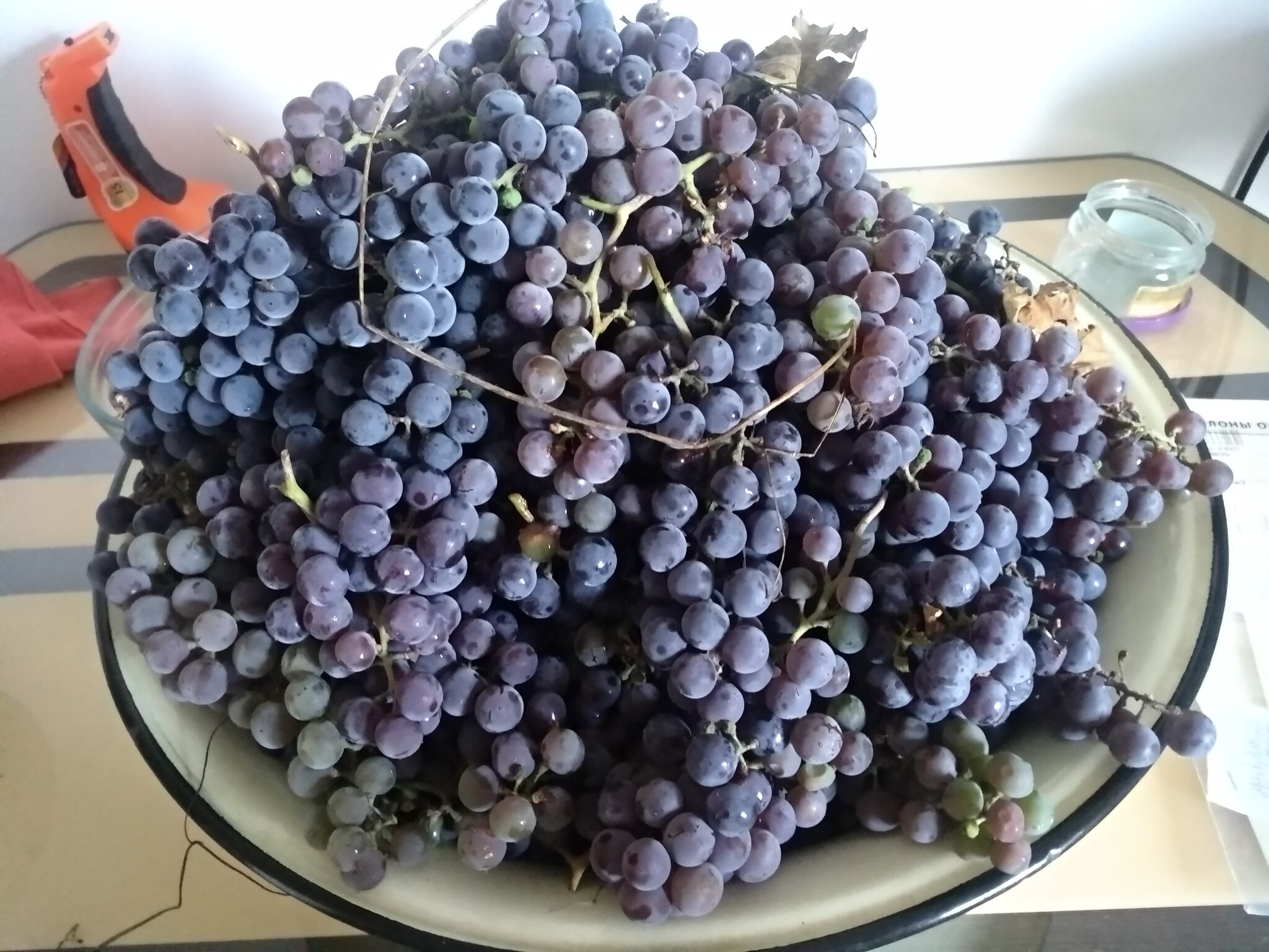 Брага из винограда для самогона - рецепт