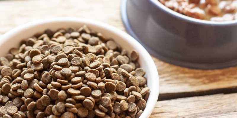 можно ли смешивать сухой и влажный корм. корм. размоченный сухой корм. натуралка и сухой корм. сухие и влажные корма.