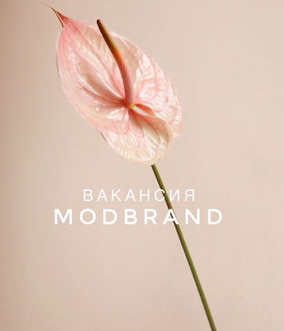 Вакансии MODBRAND